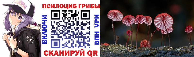 Псилоцибиновые грибы GOLDEN TEACHER  Купить где  Шиханы 